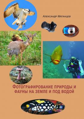 Фотографирование природы и фауны на земле и под водой - Александр Матанцев