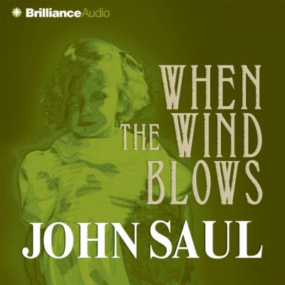 When the Wind Blows - John  Saul