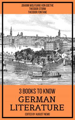 3 Books To Know German Literature - Theodor Storm