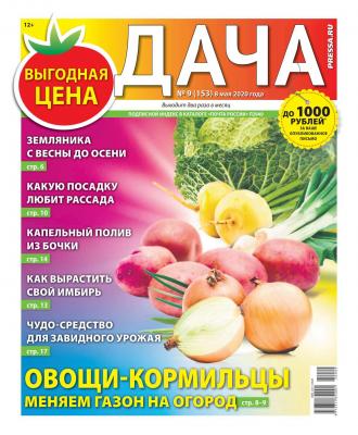 Дача Pressa.ru 09-2020 - Редакция газеты Дача Pressa.ru