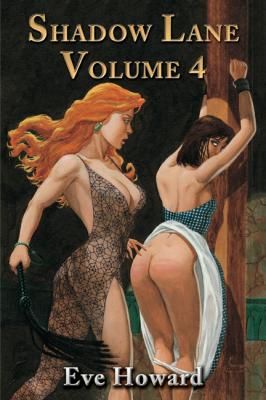 Shadow Lane Volume 4: The Chronicles of Random Point, Spanking, Sex, B&D and Anal Eroticism in a Small New England Village - Eve Howard