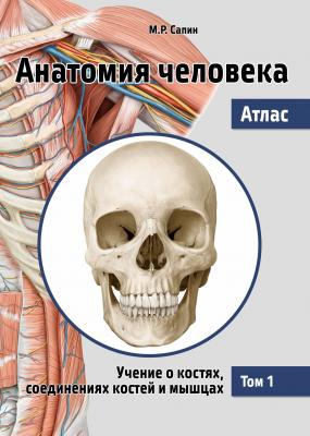 Анатомия человека. Атлас. Том 1. Учение о костях, соединениях костей и мышцах - М. Р. Сапин