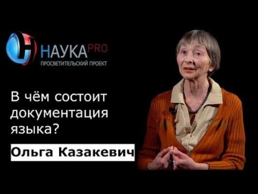 В чём состоит документация языка - Ольга Казакевич