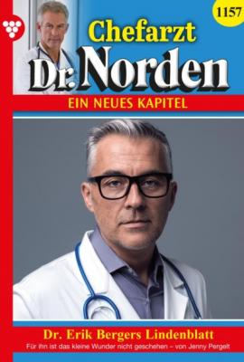 Chefarzt Dr. Norden 1157 – Arztroman - Jenny Pergelt