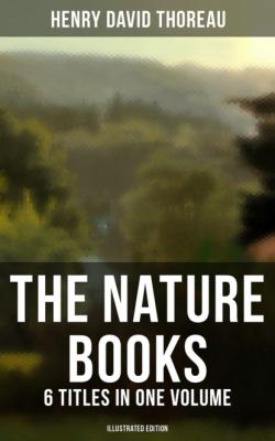 The Nature Books of Henry David Thoreau – 6 Titles in One Volume (Illustrated Edition) - Henry David Thoreau