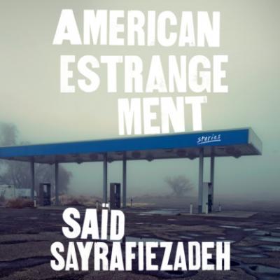 American Estrangement - Stories (Unabridged) - Said  Sayrafiezadeh