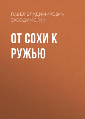 От сохи к ружью - Павел Владимирович Засодимский