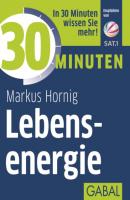 30 Minuten Lebensenergie - Markus Hornig