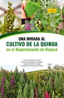 Una mirada al cultivo de la quinua en el departamento de Boyacá - Ana Cruz Morillo Coronado