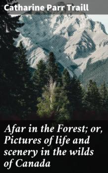 Читать Afar in the Forest; or, Pictures of life and scenery in the wilds of Canada - Catharine Parr Traill