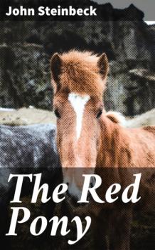 Читать The Red Pony - John Steinbeck