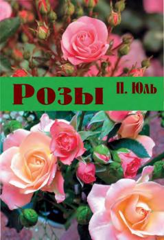 Читать Розы - П. П. Юль