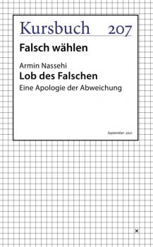 Читать Lob des Falschen - Armin Nassehi