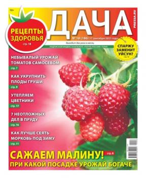 Читать Дача Pressa.ru 18-2021 - Редакция газеты Дача Pressa.ru