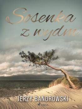Читать Sosenka z wydm - Jerzy Bandrowski