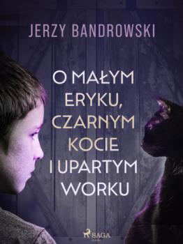 Читать O małym Eryku, czarnym kocie i upartym worku - Jerzy Bandrowski