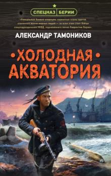 Читать Холодная акватория - Александр Тамоников