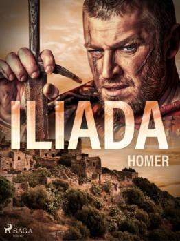 Читать Iliada - Homer