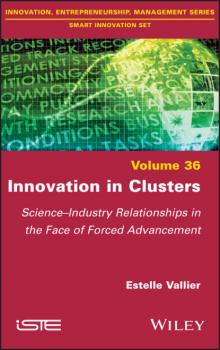 Читать Innovation in Clusters - Estelle Vallier