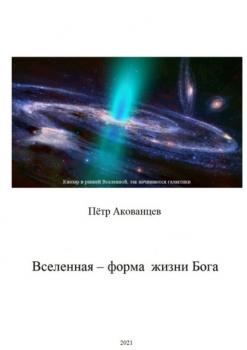 Читать Вселенная – форма жизни Бога. Теория Всего - Пётр Иванович Акованцев