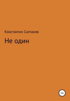 Читать Не один - Константин Владимирович Салтанов