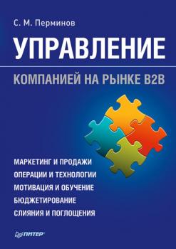 Читать Управление компанией на рынке В2В - С. М. Перминов
