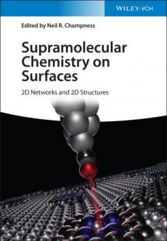 Читать Supramolecular Chemistry on Surfaces - Группа авторов