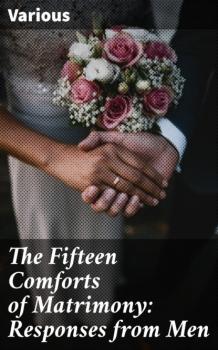 Читать The Fifteen Comforts of Matrimony: Responses from Men - Various
