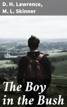 Читать The Boy in the Bush - D. H. Lawrence