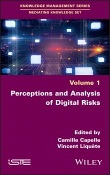 Читать Perceptions and Analysis of Digital Risks - Группа авторов