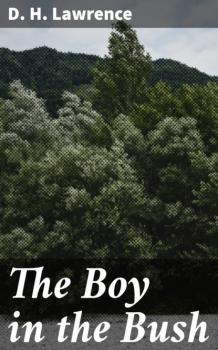 Читать The Boy in the Bush - D. H. Lawrence
