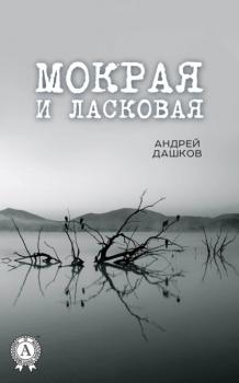 Читать Мокрая и ласковая - Андрей Дашков