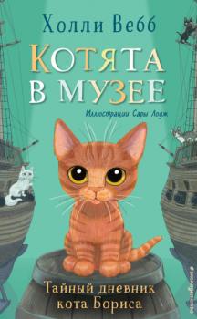 Читать Тайный дневник кота Бориса - Холли Вебб