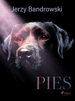 Читать Pies - Jerzy Bandrowski