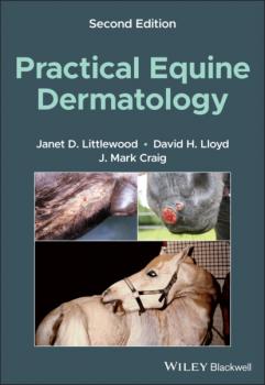 Читать Practical Equine Dermatology - David H. Lloyd