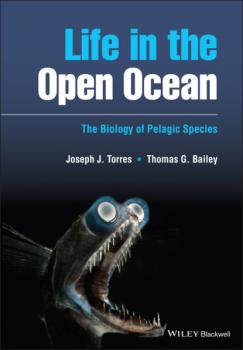 Читать Life in the Open Ocean - Joseph J. Torres