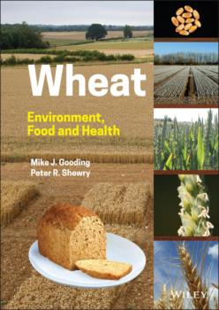 Читать Wheat - Peter R. Shewry