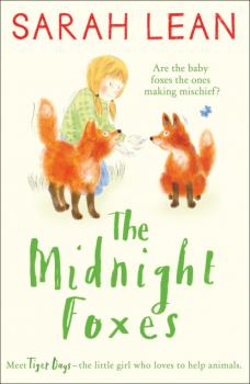 Читать The Midnight Foxes - Sarah Lean