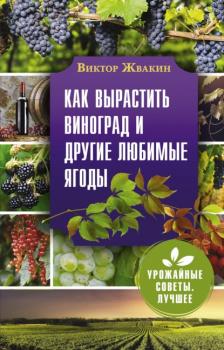 Читать Как вырастить виноград и другие любимые ягоды - Виктор Жвакин