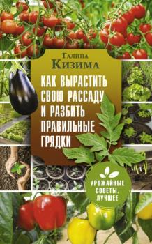 Читать Как вырастить свою рассаду и разбить правильные грядки - Галина Кизима
