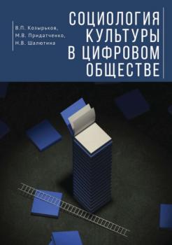 Читать Социология культуры в цифровом обществе - В. П. Козырьков