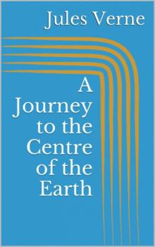 Читать A Journey to the Centre of the Earth - Jules Verne