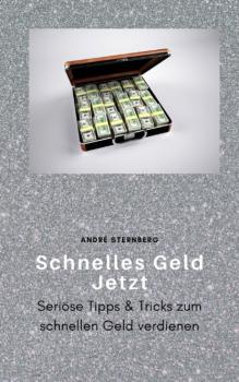 Читать Schnelles Geld Jetzt - André Sternberg