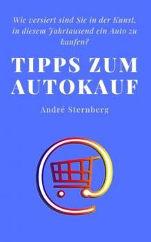 Читать Tipps zum Autokauf - André Sternberg