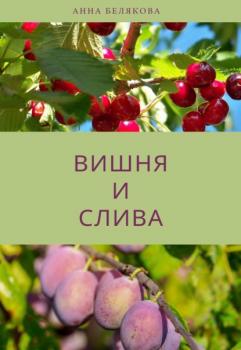 Читать Вишня и слива - Анна Белякова