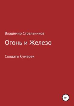 Читать Огонь и железо - Владимир Николаевич Стрельников