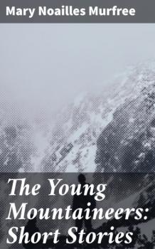 Читать The Young Mountaineers: Short Stories - Mary Noailles Murfree