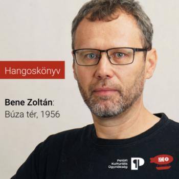 Читать Búza tér, 1956 (teljes) - Zoltán Bene