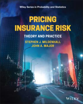 Читать Pricing Insurance Risk - Stephen J. Mildenhall