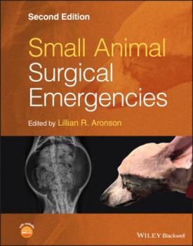 Читать Small Animal Surgical Emergencies - Группа авторов